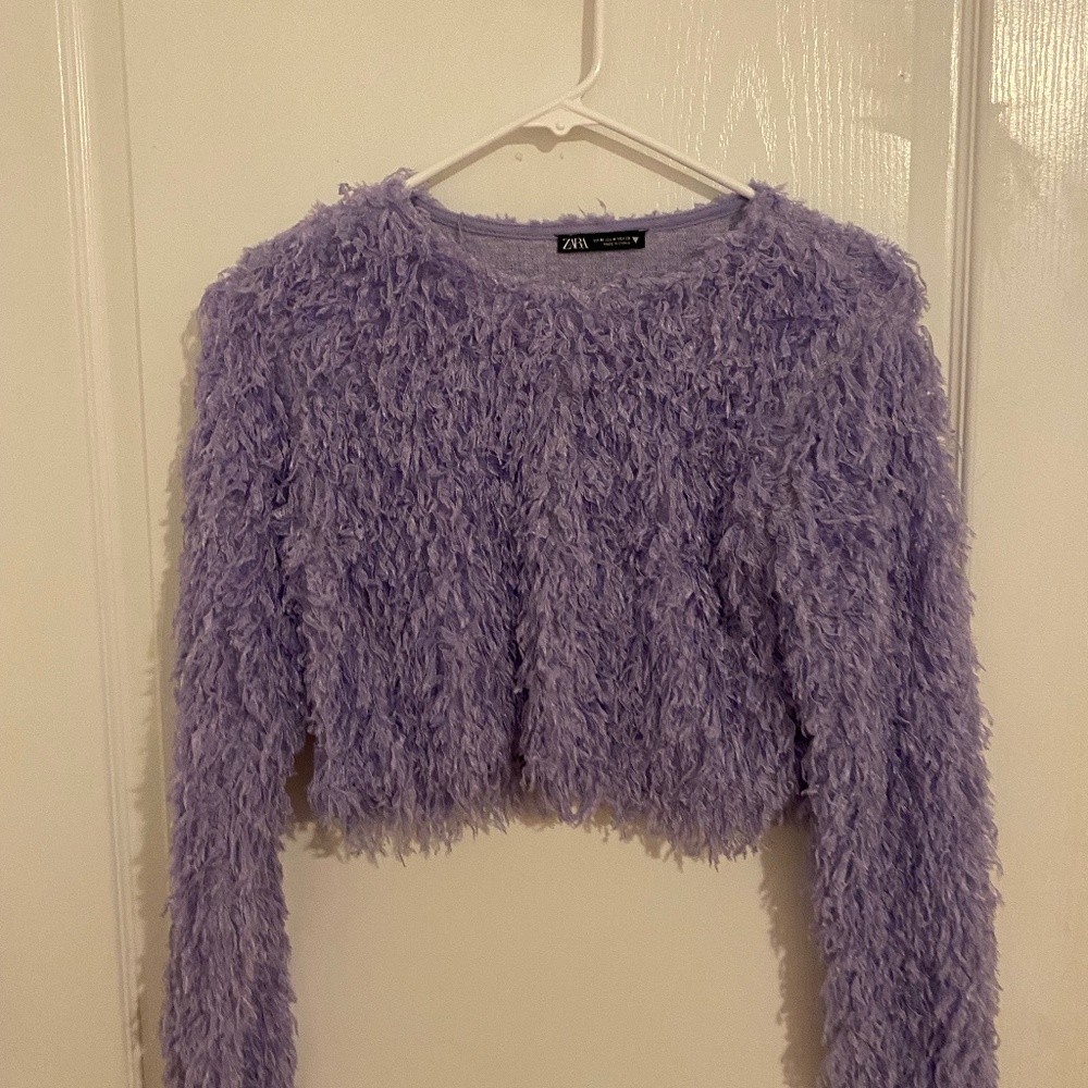 Zara Purple Feather Top